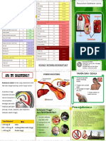 282038157-Leaflet-Kolesteroll.pdf