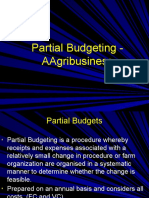 Partial Budget