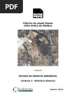 EIA Relatorio Sintese