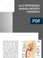 Alat Reproduksi Manusia Beserta Fungsinya