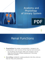 Anatomy and Physiology of Urinary System