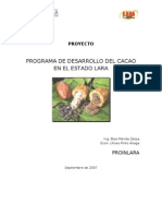 Proyecto Del Cacao