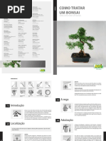 Como tratar um Bonsai