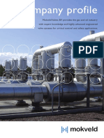 Mokveld Company Profile PDF