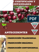 8-CAFES CERTIFICADOS Y SUS ESTANDARES.pdf