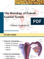Female Genital System PSPD Semester Genap 2015