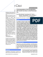 A Re-Interpretation of Cell Transplantation GFP Transfer From Donor To Host Photoreceptors