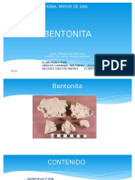 Expo Bentonita