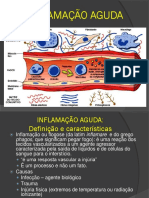 Inflamação Aguda