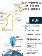 EB4 GutDevelopment