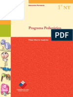 Programa Pedagógico NT1 PDF