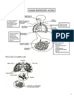 Wow Science f3 Respiration 2017