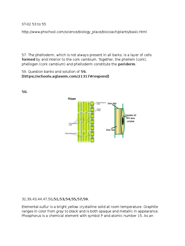 Formed by and Interior To The Cork Cambium. Together, The Phellem (Cork