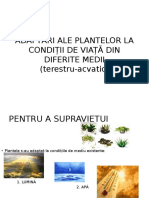 Adaptări Ale Plantelor La Condiții de Viață Din