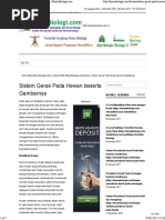 Download Sistem Gerak Pada Hewan Beserta Gambarnya by Sherly AR SN336064575 doc pdf