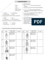 Multiple Choice Questions on Human Body Systems