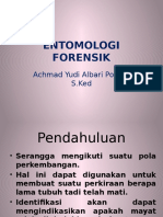 FGD - Entomologi Forensik