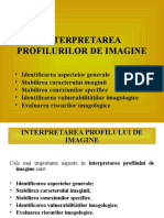 Prelegerea 4. Interpretarea Profilurilor de Imagine