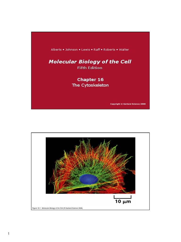 Alberts Molecular Biology of The Cell CH16 Cytoskeleton PDF