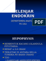 Organ Endokrin