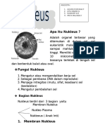 Apa Itu Nukleus