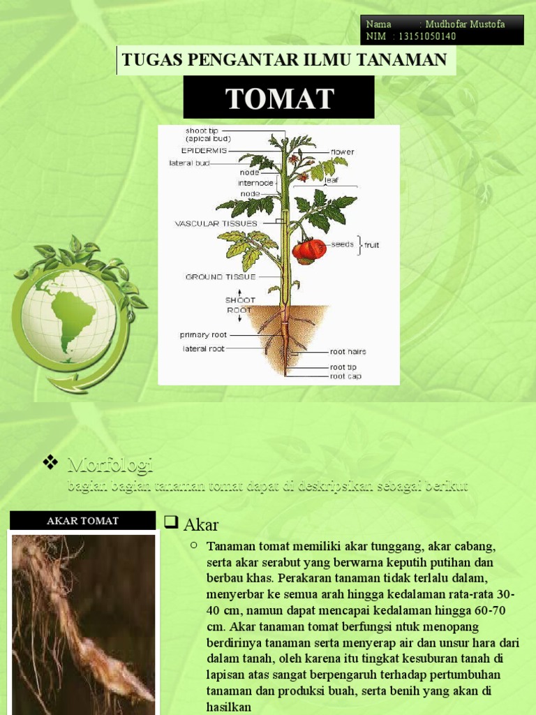 Moefologitomat | PDF