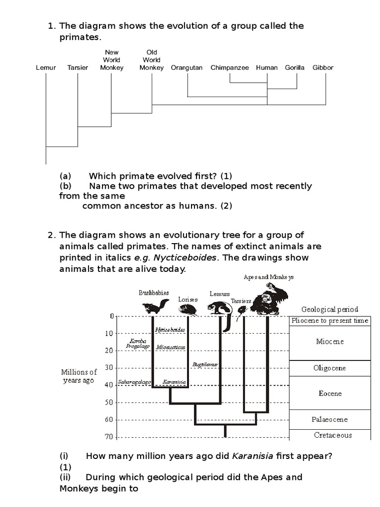 Questions about evolution based on Ppt