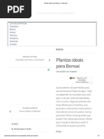 Plantas Ideais Para Bonsai – Cultivando
