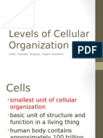 Levels of Cellular Organiization Powerpoint - Life Science