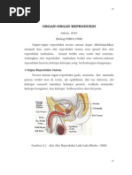 Download ORGAN REPRODUKSI by adnan_unm3177 SN33610465 doc pdf