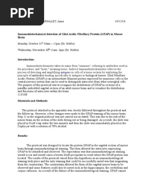 Lab Report