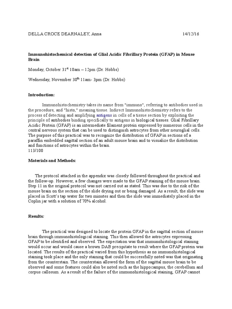 Lab report l312 07 image