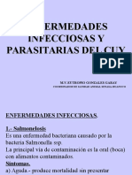 Enfermedades de Los Cuyes05