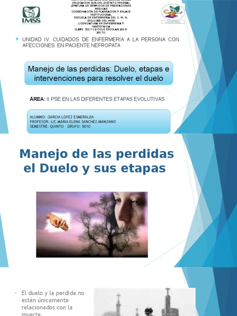Manejo del Duelo en Enfermería | PDF | Dolor | Depresión (estado de ánimo)