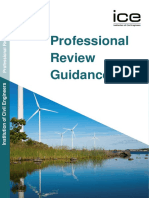 Professional Review Guidance