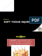Module VI - Soft Tissue Injuries