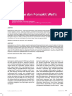 MEDICAL REVIEW Leptospira Dan Penyakit Weil S