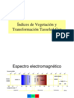 9 Indices de Vegetacion 1CH PDF