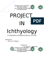 Compilation of Fish Species from Romblon State University Ichthyology Project