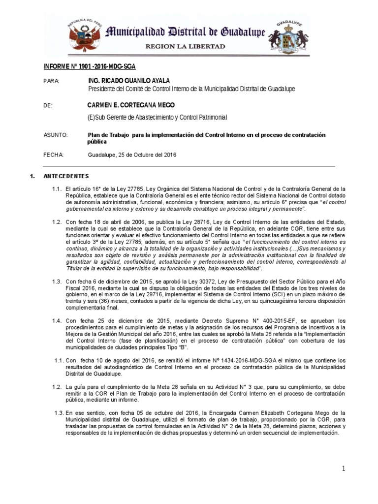 Plan de Trabajo para Control Interno | PDF | Gobierno