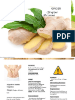 Ginger (Zingiber Officinale) : Figure 1digestive Health Capsules