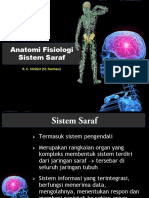 (Anatomi Fisiologi Sistem Saraf) (Bhamada Slawi)