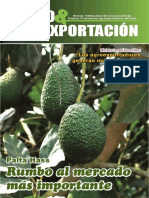 Revista Agro & Exportación #6