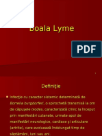 Boala Lyme