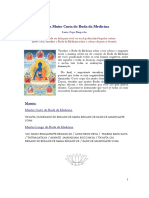 PequenaPraticaDoBudaDaMedicinaParaDoentes.pdf