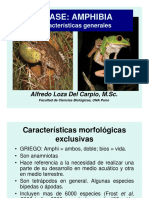 Amphibia Zoo PDF 2013