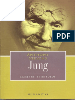 Anthony Stevens - Jung