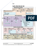 Anexa 1 - Harta Proceselor SMC1 PDF
