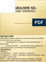 Presentasi Kuliah III-Metabolisme Sel (Fotosintesis)