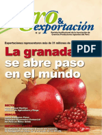 Revista Agro & Exportación #37